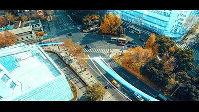 科技光线点线城市AE模板视频的预览图